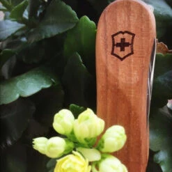 Victorinox Nail Clip 580 - Walnut 9 Victorinox Nail Clip 580 - Walnut -Montanic Sale Store 0.6461.63 5 600x600 5830c94e 67cf 474d b2ba 9efa7ef6d0f0