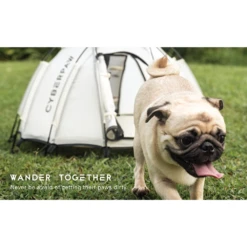 Cyberpaw Astrodome Pet Tent 21 Cyberpaw Astrodome Pet Tent -Montanic Sale Store 11 7917219f f764 4229 9474 0d5e5364b062