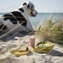 Light My Fire Eat´n Drink Kit BIO For 4 Nature -Montanic Sale Store 2f9ba20e0235df98918201b6cf544baa 1