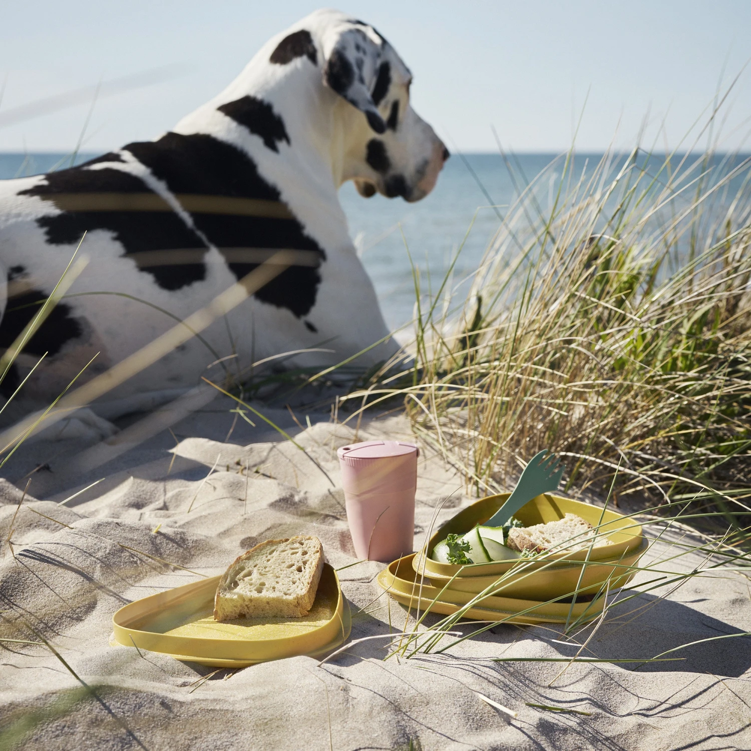 Light My Fire LunchKit BIO - Hazyblue 4 Light My Fire LunchKit BIO - Hazyblue - Image 4