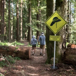 Sunday Afternoon Adventure Hat -Montanic Sale Store 5 e71e76a6 ea3c 4ba7 ab16 371f69d27e49