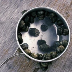 Snow Peak Titanium Personal Cookerset -Montanic Sale Store 5 f4a24d2b 74c1 4d6c b87f 1a2061f2d3b5