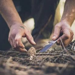 Gerber Asada Folder -Montanic Sale Store 64