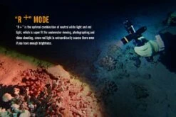 Fenix SD11 XM-L2 U2 Diving Photographic Light -Montanic Sale Store Fenix SD11 Diving Flashlight red plus mode