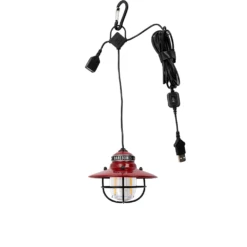 Barebones Edison Pendant Light -Montanic Sale Store LIV 266 2
