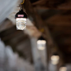 Barebones Beacon Kraft Packaging - Gray -Montanic Sale Store LIV 297 5 f4606ed6 678d 4f1c 99d9 701cd67d88df