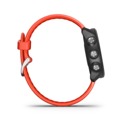 Garmin Forerunner 245 GPS Smartwatch -Montanic Sale Store forerunner245Music lava image 04